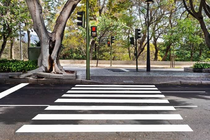 Question image: At a marked pedestrian crossing, who has the right of way?