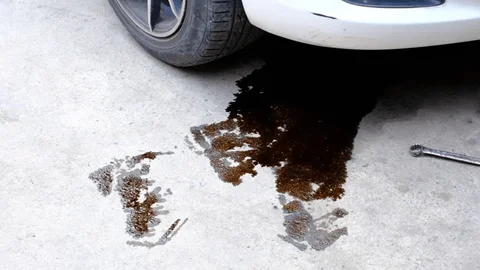 Question image: Why should any engine oil spill be cleaned up immediately?